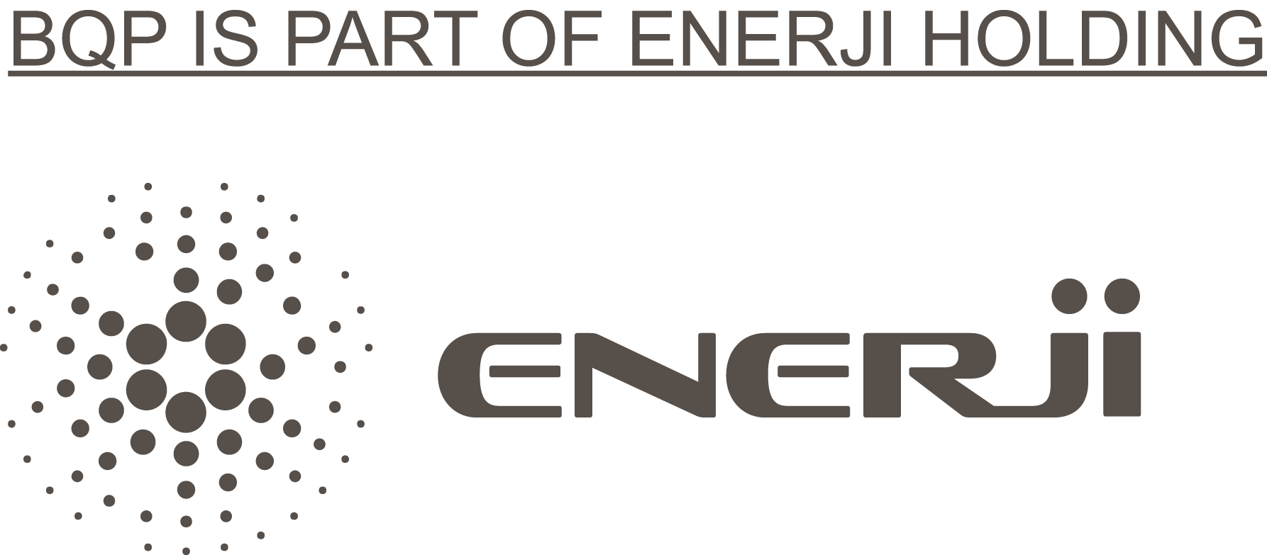 Logo ENERJI